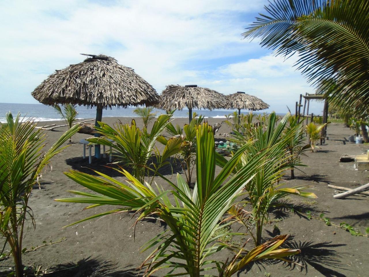 Marbella Eco Lodge Monterrico Exterior photo